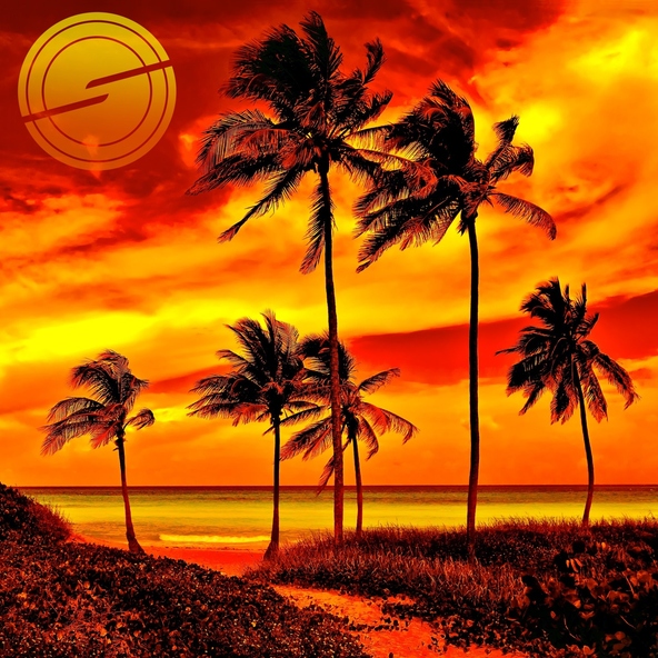 Sunlight Project - Ocean Drive