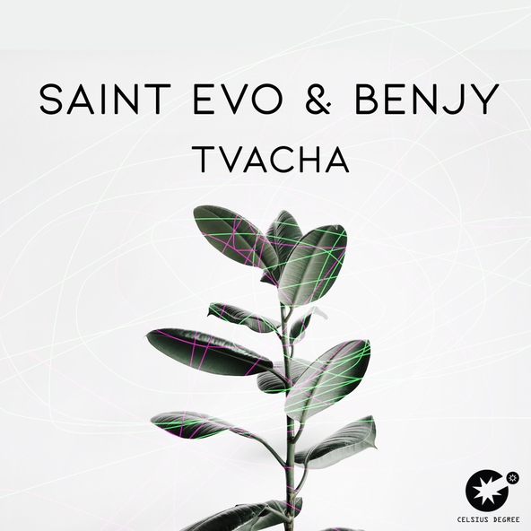 Saint Evo, Benjy - Tvacha