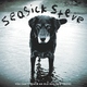 Seasick Steve - You Can't Teach An Old Dog New Tricks