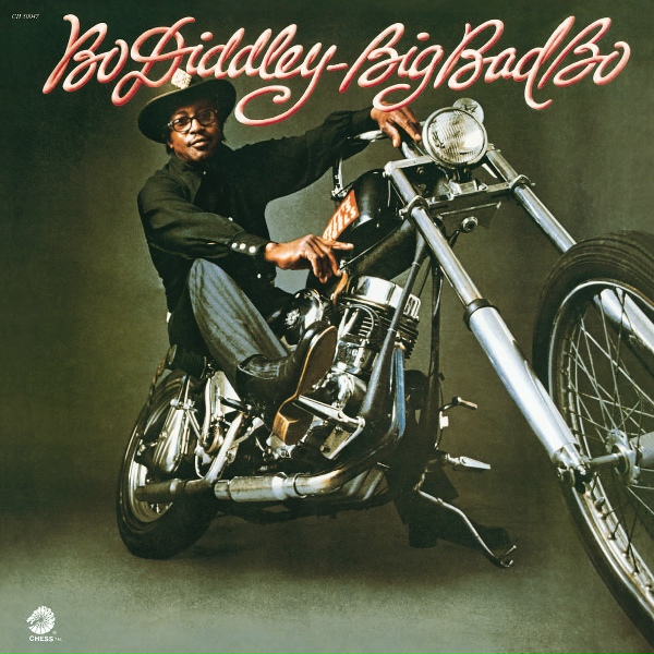 Bo Diddley - You've Got A Lot Of Nerve
