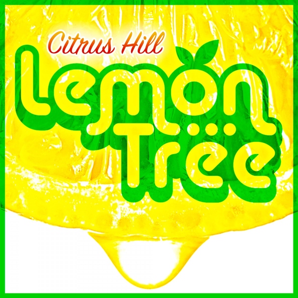 Citrus Hill - Lemon Tree