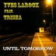 Yves Larock feat.Trisha feat. Trisha