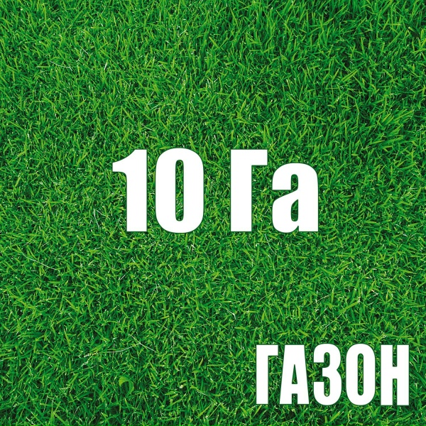Газон - Пять чувств и два рефлекса