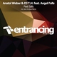 Anatol Weber, DJ T.H. feat. Angel Falls
