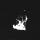 Show Me The Body - Trash