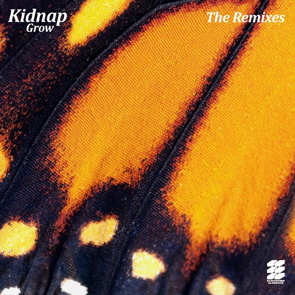 Kidnap - Ursa Minor