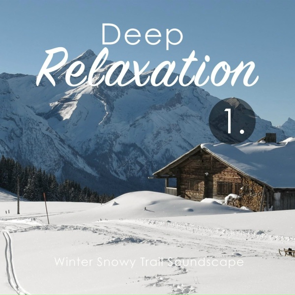 Craig Hewitt - Winter Snowy Trail Soundscape, Pt. 13