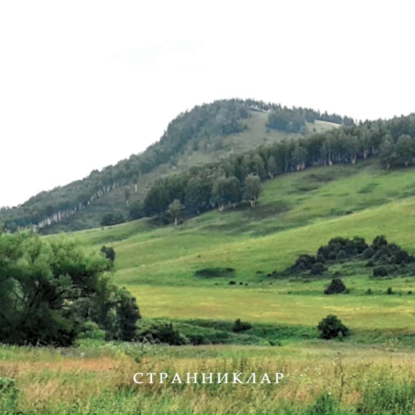 TRANSMITTER. - Томан