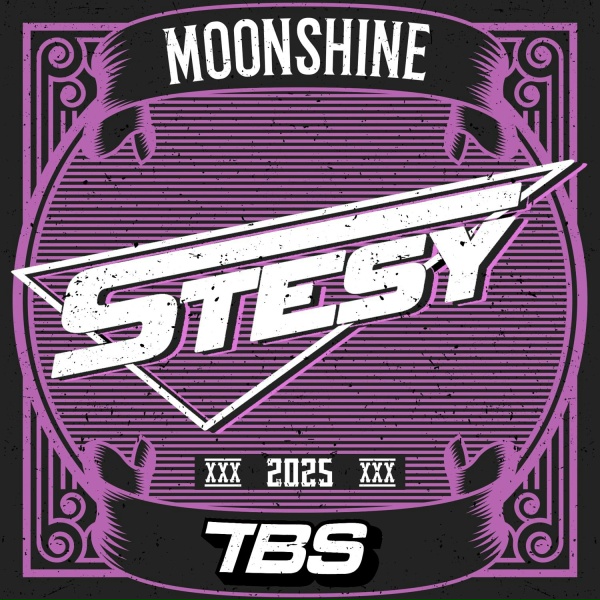 STESY, Chris Chalmer - We Like to Party