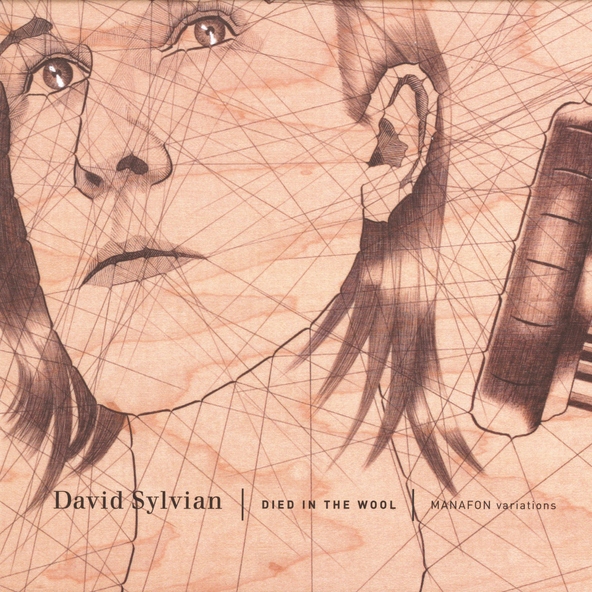 David Sylvian - I Should Not Dare (For N.O.)