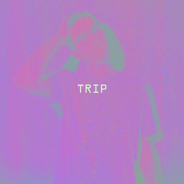SAGI - TRIP