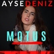 Aysedeniz Gokcin - Son