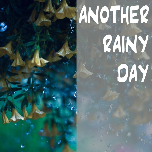 Rain Sounds - Rain All Day