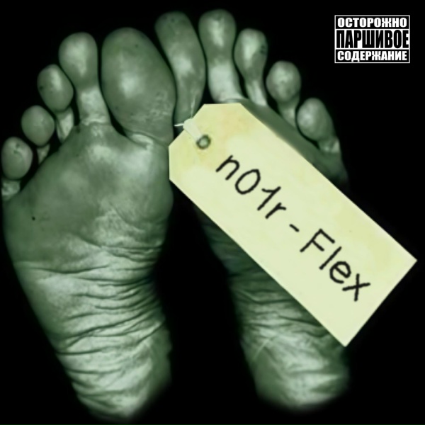 N01R - flex