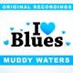 Muddy Waters - I Got My Mojo Working