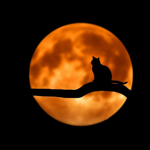 Deep Sleep, Natureza, Sonidos de la Naturaleza Relajacion - Lessons from the Cosmos