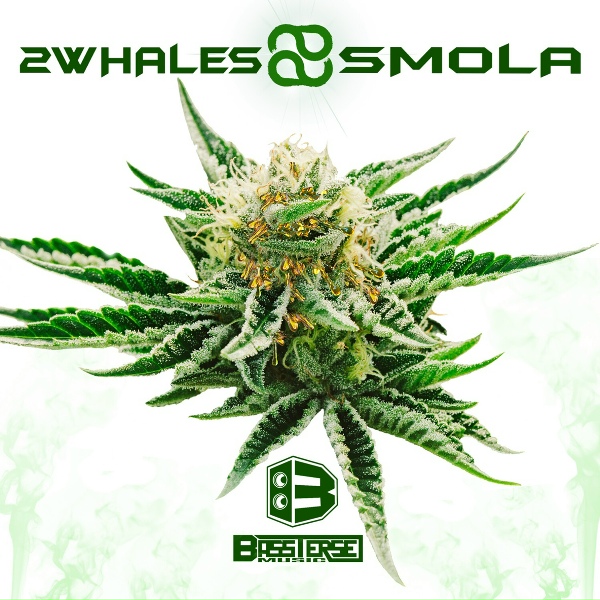 2Whales - Smola
