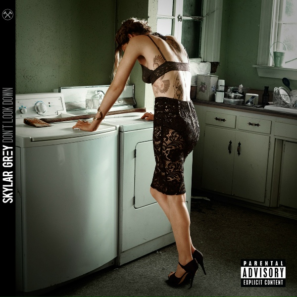 Skylar Grey feat. Eminem - C&rsquo;mon Let Me Ride