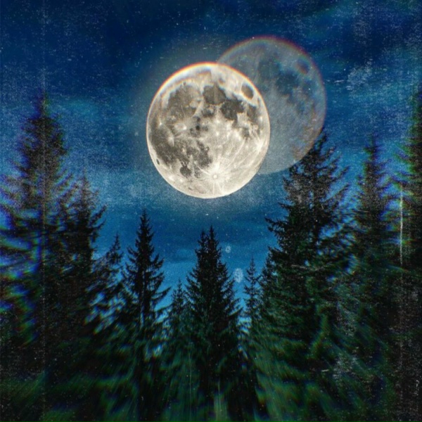 moonwalker - Лунный свет