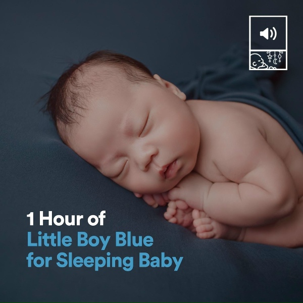 Nursery Rhymes - 1 Hour of Little Boy Blue for Sleeping Baby, Pt. 4