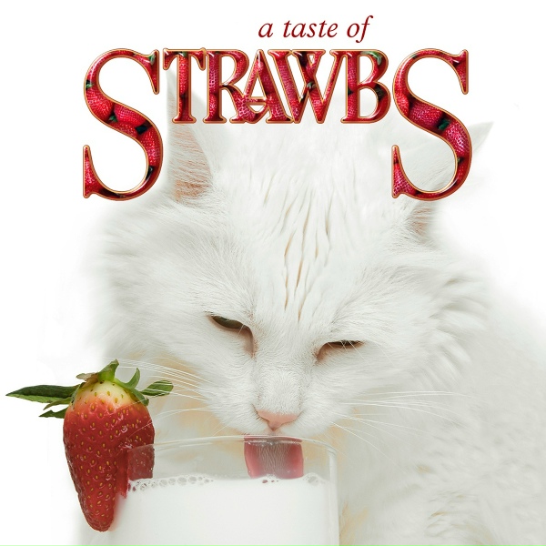 Strawbs - Part of the union