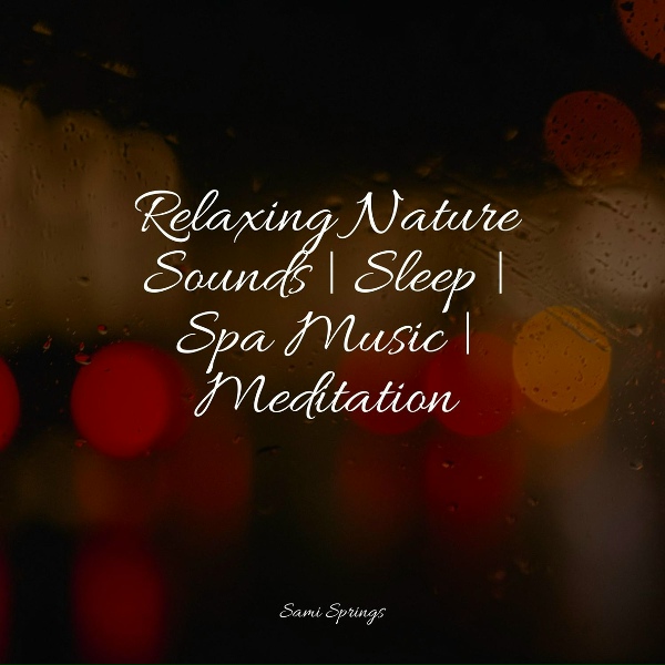 Nature Sounds XLE Library, Pink Noise, Deep Sleep Meditation - Beachside Rain