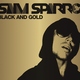 Sam Sparro - Black & Gold (Radio Edit) (Radio Edit)