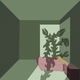 Feng Suave - Venus Flytrap