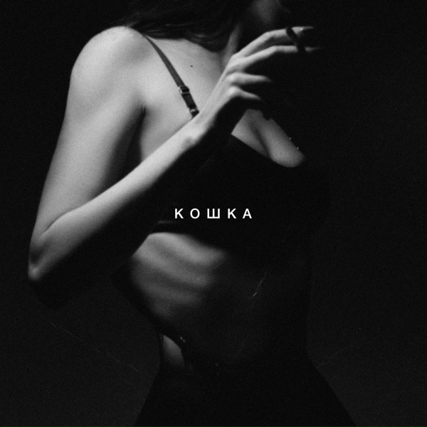 Sidxkick - Кошка