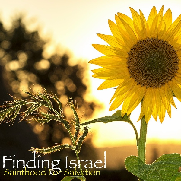 Finding Israel - Little Log Cabin