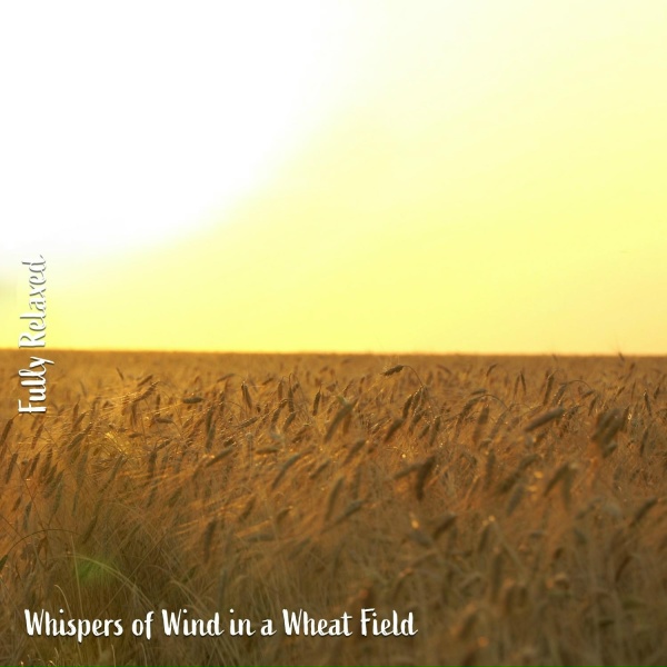 Steve Brassel - Whispers of Wind in a Wheat Field, Pt. 20