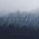 Lights & Motion - Vultures