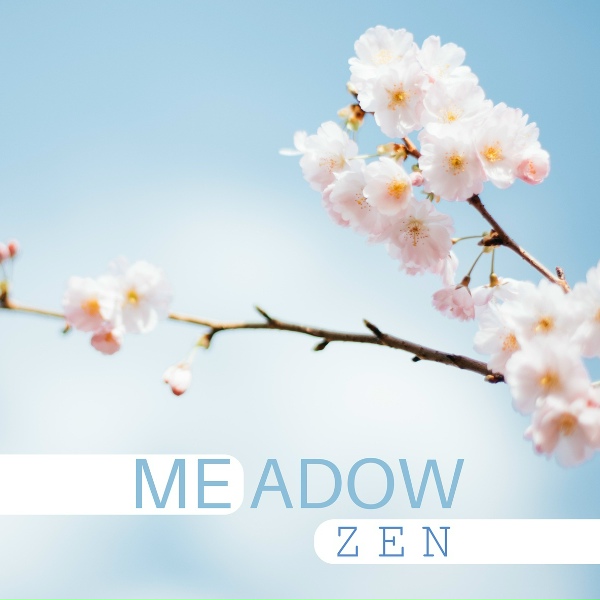 ZEN - Opening Chakras Slowly
