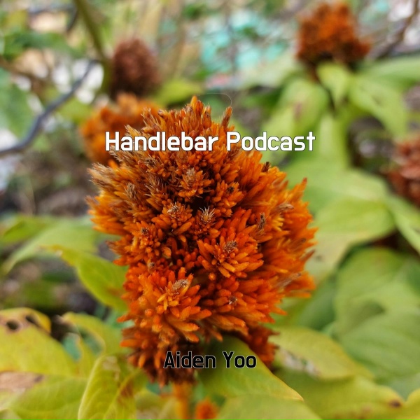Aiden Yoo - Handlebar Podcast