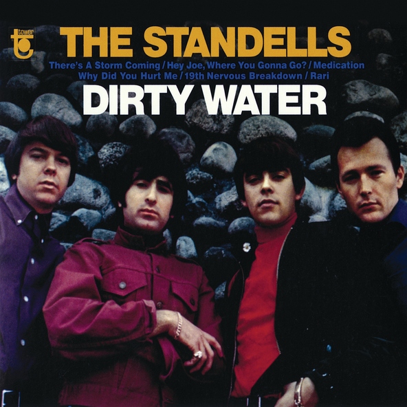 The Standells - It's All In Your Mind