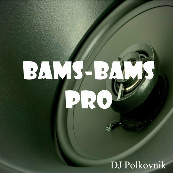 DJ Polkovnik - Bams-Bams Pro