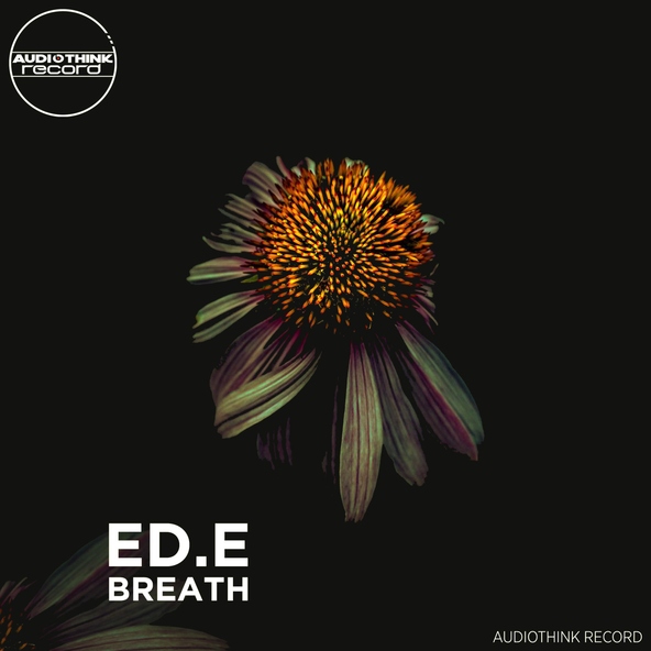 ED.E