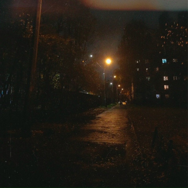 plenka - за окном