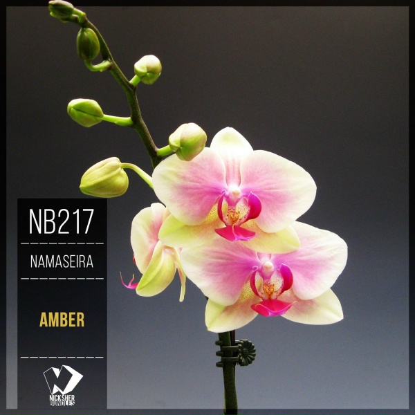 Namaseira - Celestial Whispers (Original Mix)