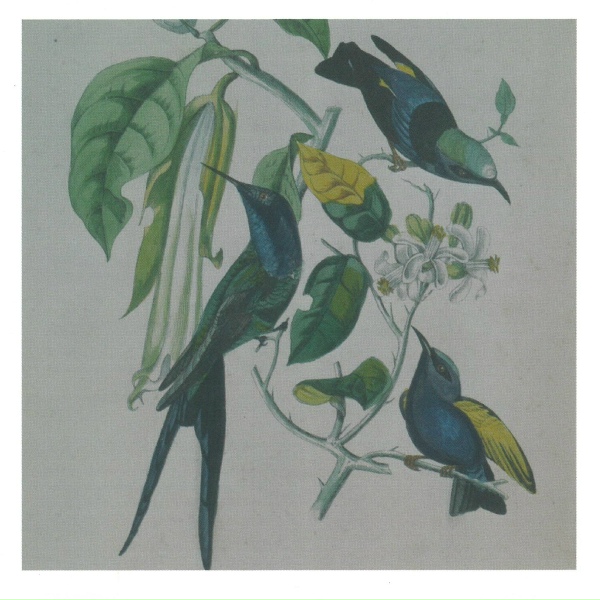 Susumu Yokota - Hagoromo