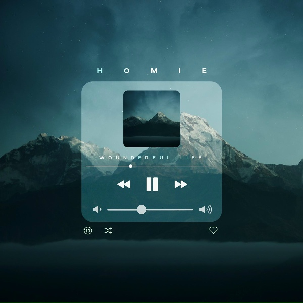 Homie - Wonderful life