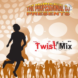 The Professional DJ feat. Pat Vinx