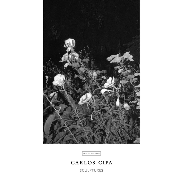 Carlos Cipa - And Gently Drops The Rain