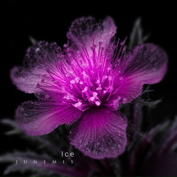 Junemix - Ice