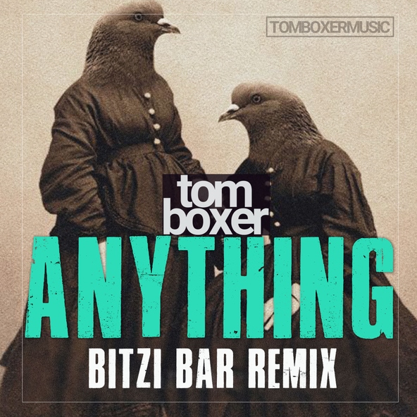 Tom Boxer - Anything