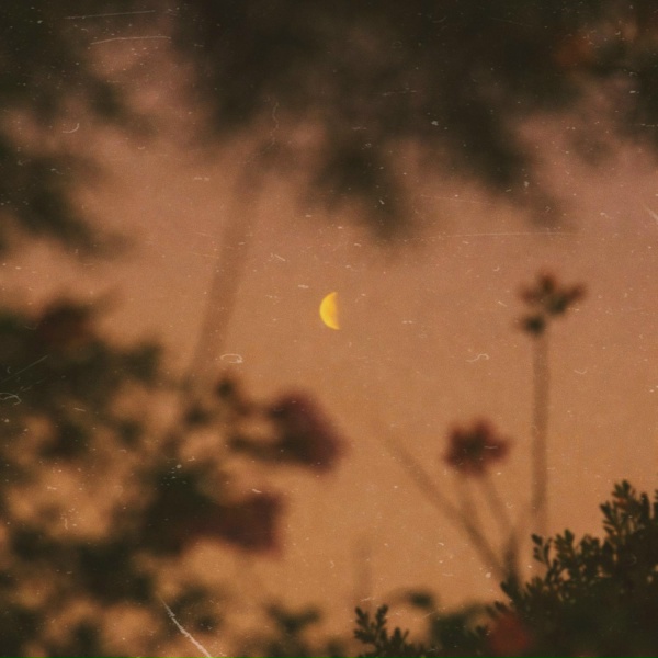 tenyday - glimpses