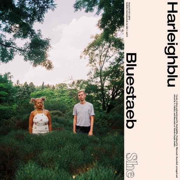 Harleighblu, Bluestaeb