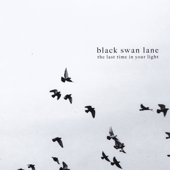 Black Swan Lane