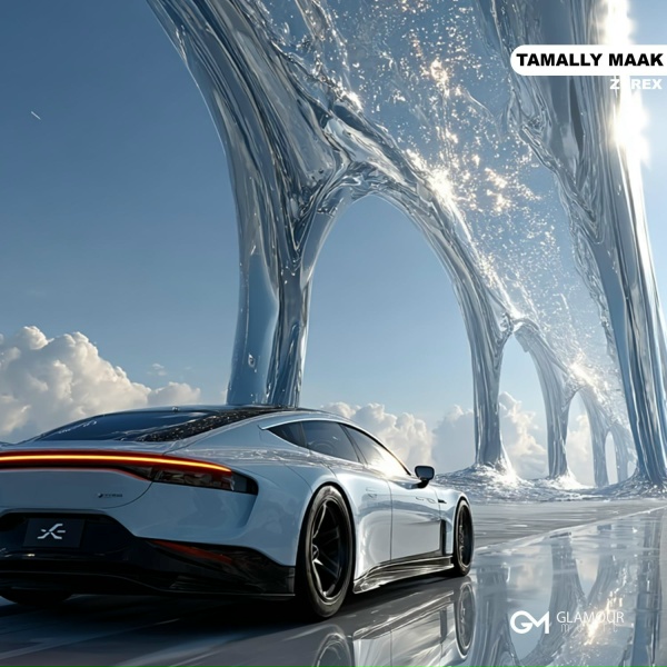 ZYREX - Tamally Maak