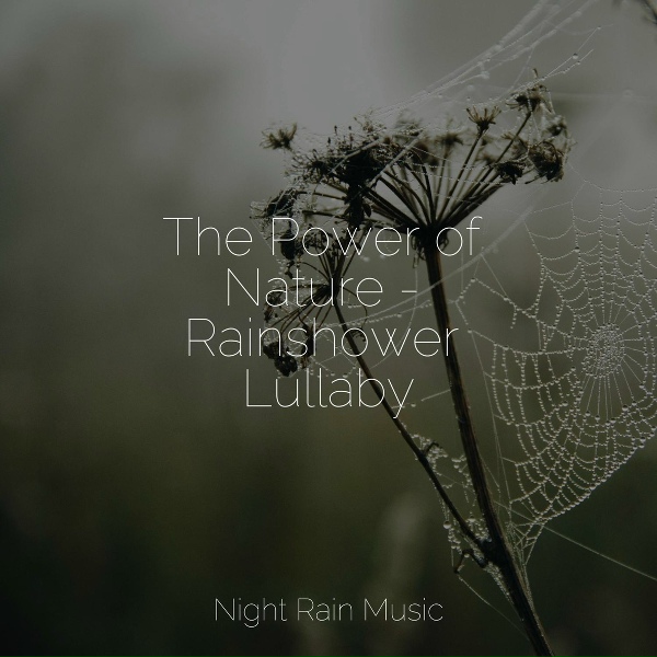 Chakra Balancing Sound Therapy, Baby Sweet Dream, Ambient Music Therpy - Storm & Wind Outside